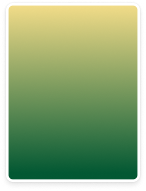 Non-Retirement Investments